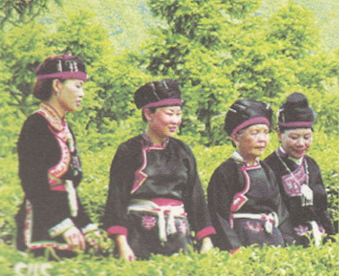 斜滩畲族